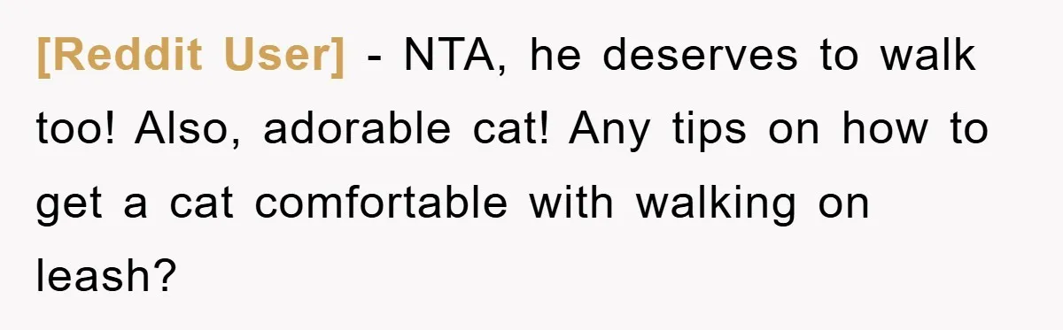 [Reddit User] − NTA, he deserves to walk too! Also, adorable cat! Any tips on how to get a cat comfortable with walking on leash?