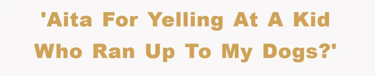 'AITA for Yelling at a Kid Who Ran Up to My Dogs?'