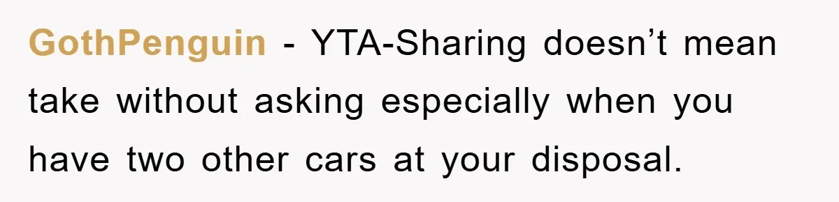 GothPenguin − YTA-Sharing doesn’t mean take without asking especially when you have two other cars at your disposal.
