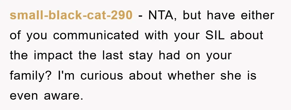small-black-cat-290 − NTA, but have either of you communicated with your SIL about the impact the last stay had on your family? I'm curious about whether she is even aware.