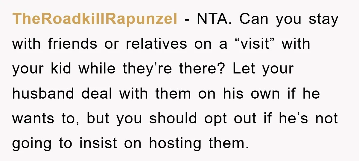 TheRoadkillRapunzel − NTA. Can you stay with friends or relatives on a “visit” with your kid while they’re there? Let your husband deal with them on his own if he...