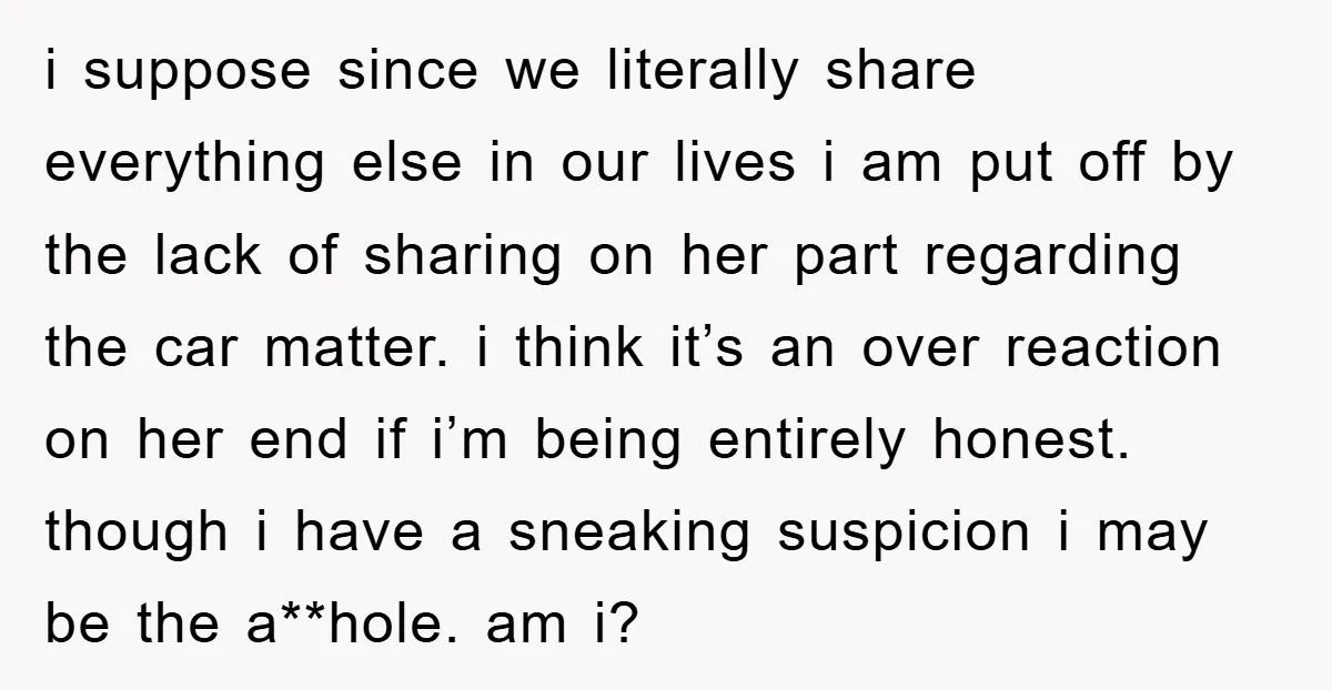 i suppose since we literally share everything else in our lives i am put off by the lack of sharing on her part regarding the car matter. i think it’s...