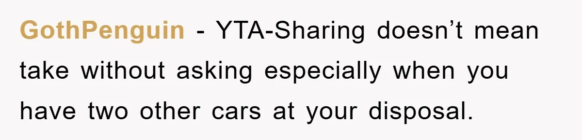 GothPenguin − YTA-Sharing doesn’t mean take without asking especially when you have two other cars at your disposal.