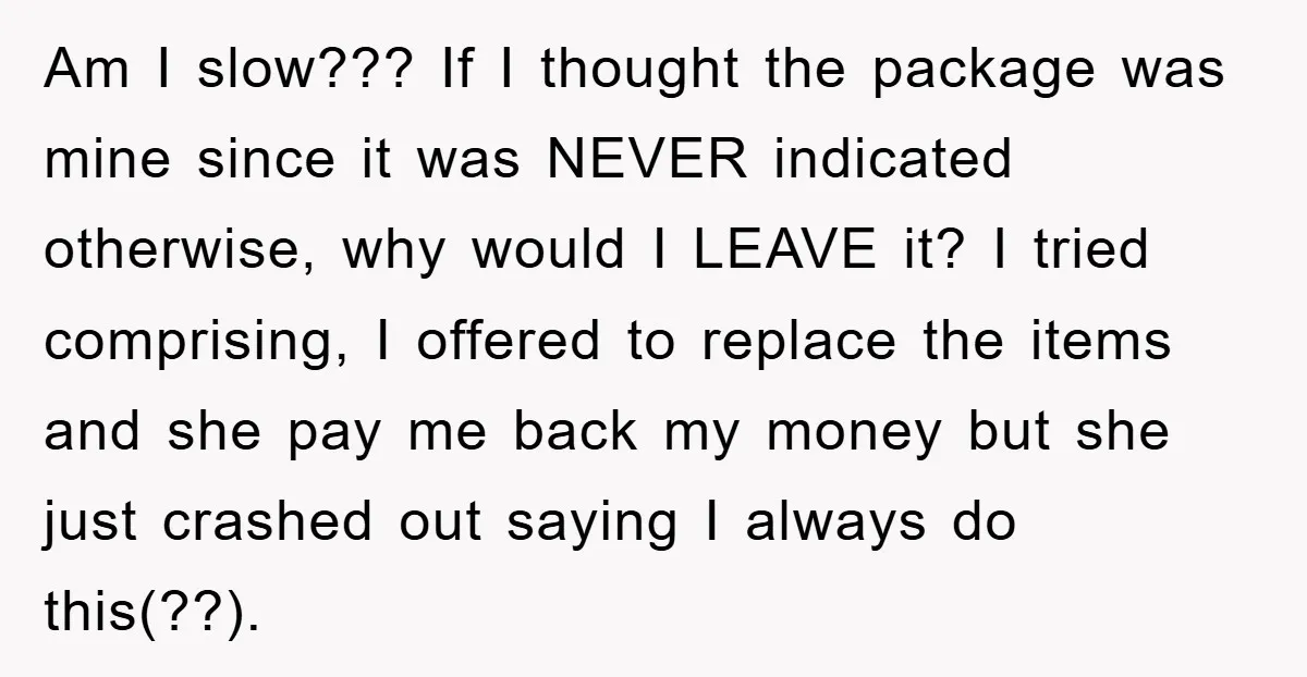 Am I slow??? If I thought the package was mine since it was NEVER indicated otherwise, why would I LEAVE it? I tried comprising, I offered to replace the items...