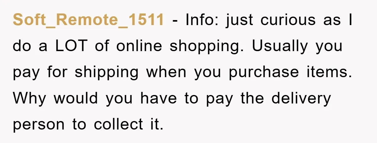 Soft_Remote_1511 - Info: just curious as I do a LOT of online shopping. Usually you pay for shipping when you purchase items. Why would you have to pay the delivery...