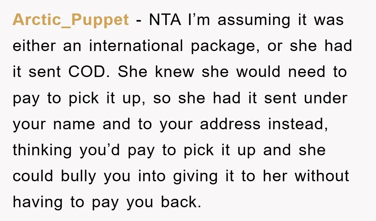 Arctic_Puppet - NTA I’m assuming it was either an international package, or she had it sent COD. She knew she would need to pay to pick it up, so she...