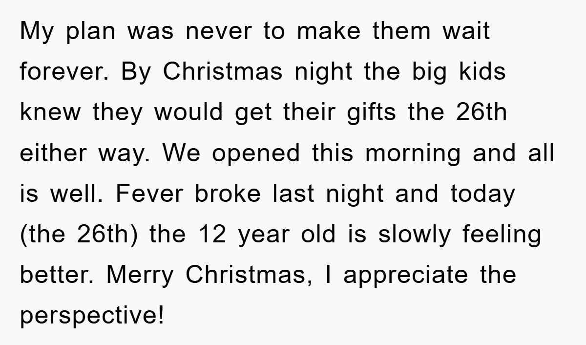 My plan was never to make them wait forever. By Christmas night the big kids knew they would get their gifts the 26th either way. We opened this morning and...