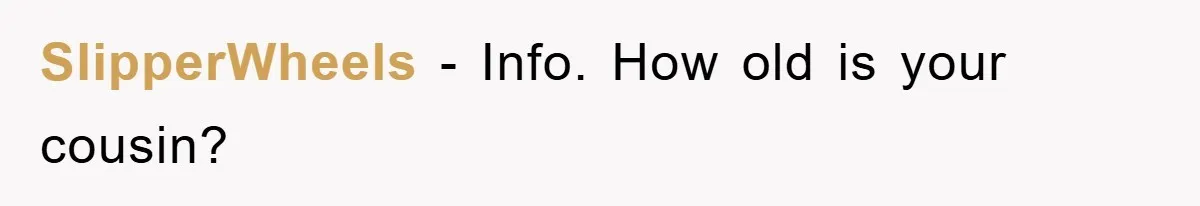 SlipperWheels − Info. How old is your cousin?
