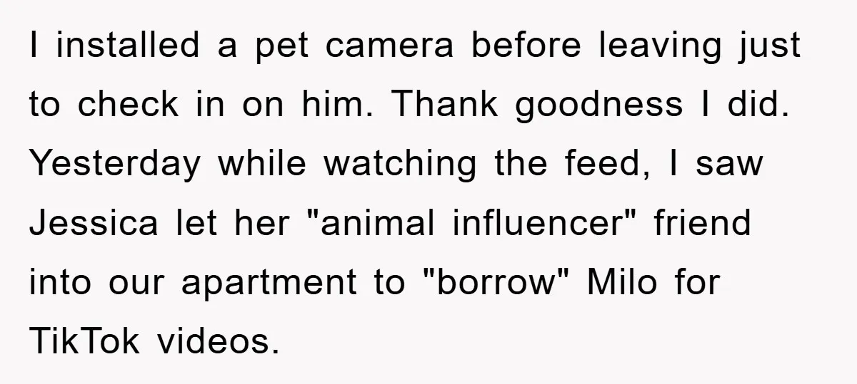 I installed a pet camera before leaving just to check in on him. Thank goodness I did. Yesterday while watching the feed, I saw Jessica let her "animal influencer" friend...