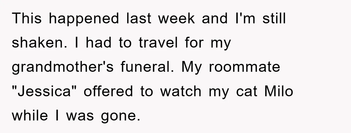 This happened last week and I'm still shaken. I had to travel for my grandmother's funeral. My roommate "Jessica" offered to watch my cat Milo while I was gone.