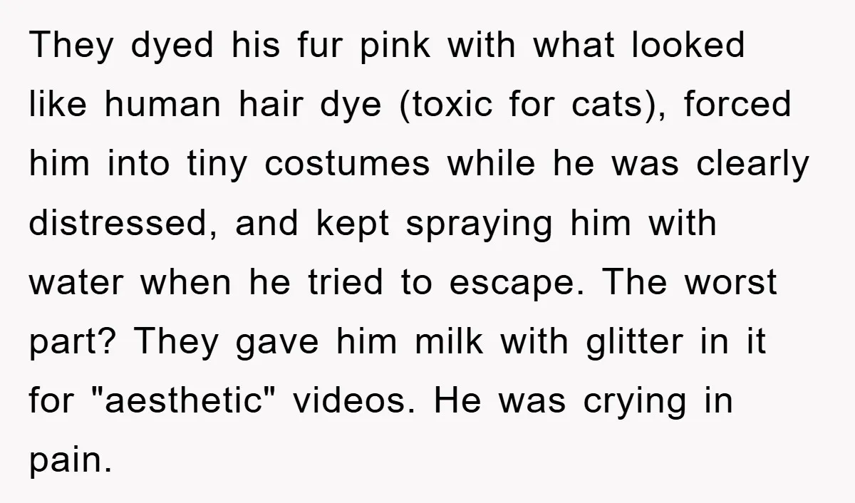 They dyed his fur pink with what looked like human hair dye (toxic for cats), forced him into tiny costumes while he was clearly distressed, and kept spraying him with...