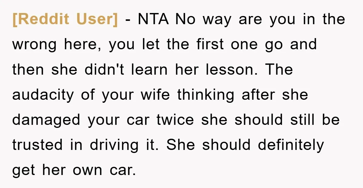 [Reddit User] − NTA No way are you in the wrong here, you let the first one go and then she didn't learn her lesson. The audacity of your wife...