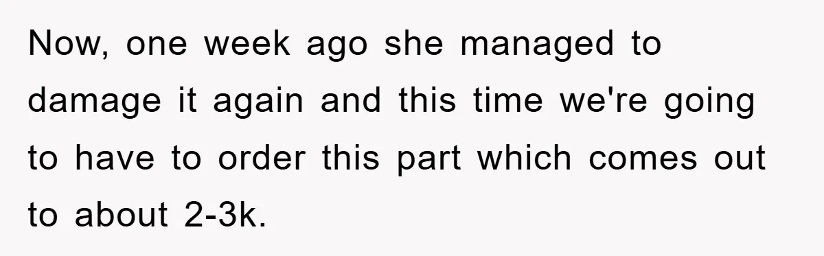 Now, one week ago she managed to damage it again and this time we're going to have to order this part which comes out to about 2-3k.