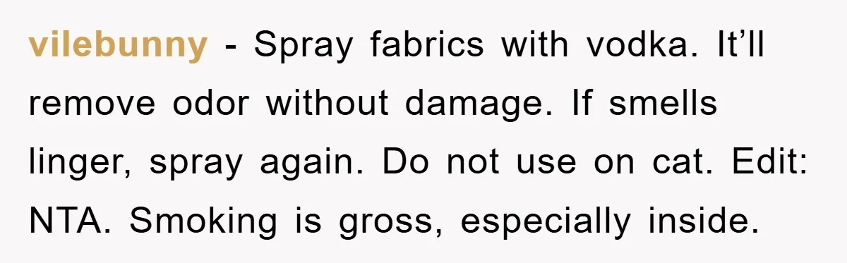 vilebunny − Spray fabrics with vodka. It’ll remove odor without damage. If smells linger, spray again. Do not use on cat. Edit: NTA. Smoking is gross, especially inside.