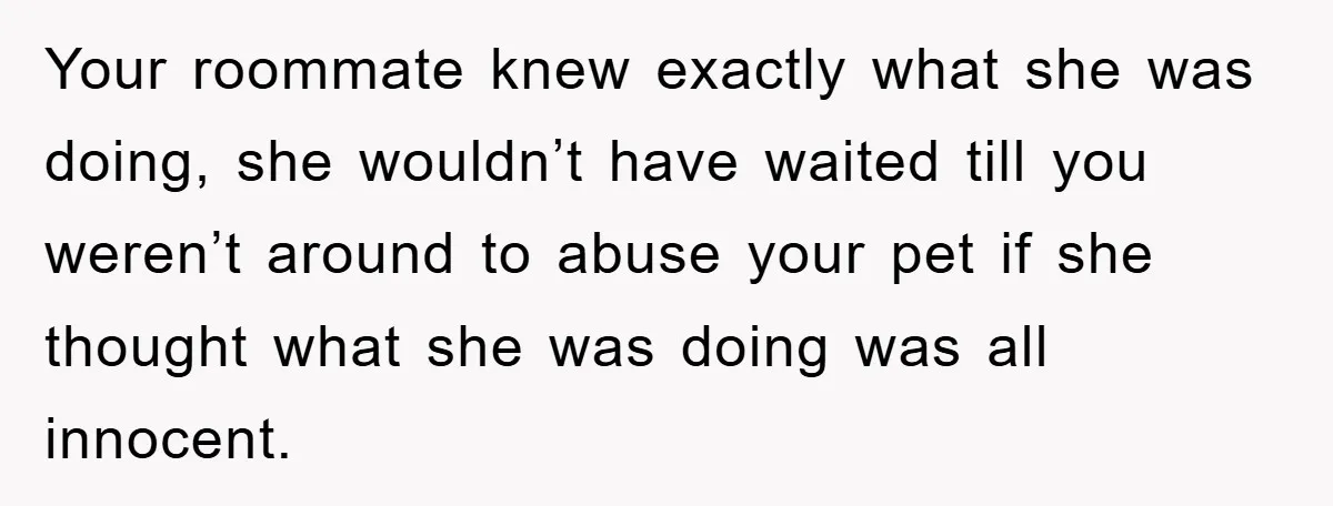 Your roommate knew exactly what she was doing, she wouldn’t have waited till you weren’t around to abuse your pet if she thought what she was doing was all innocent.