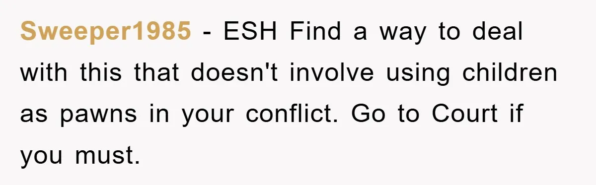 Sweeper1985 - ESH Find a way to deal with this that doesn't involve using children as pawns in your conflict. Go to Court if you must.