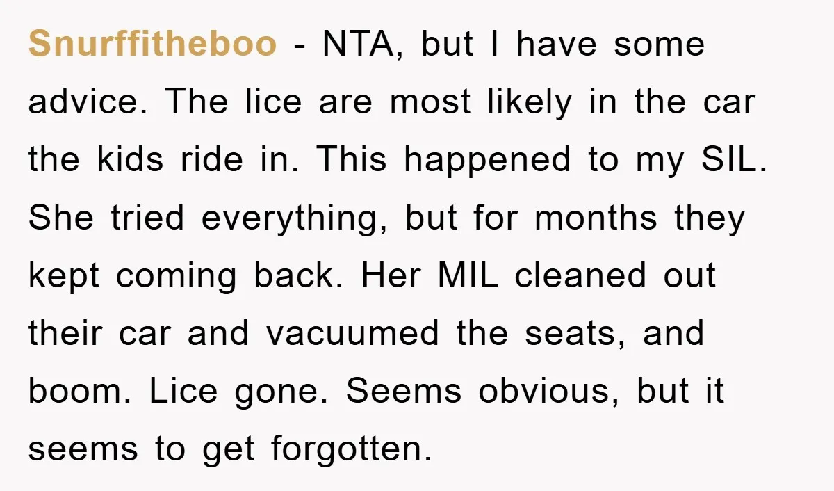 Snurffitheboo − NTA, but I have some advice. The lice are most likely in the car the kids ride in. This happened to my SIL. She tried everything, but for...