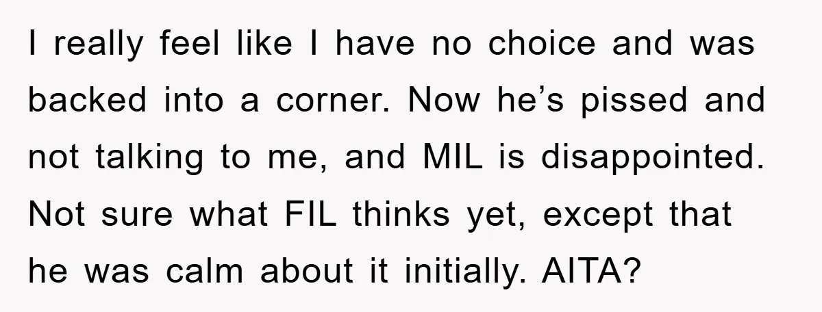 I really feel like I have no choice and was backed into a corner. Now he’s pissed and not talking to me, and MIL is disappointed. Not sure what FIL...