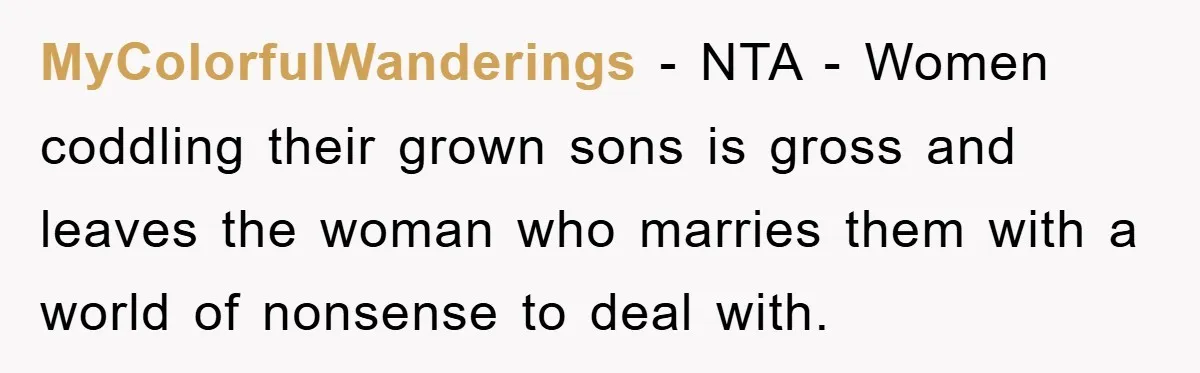 MyColorfulWanderings − NTA - Women coddling their grown sons is gross and leaves the woman who marries them with a world of nonsense to deal with.