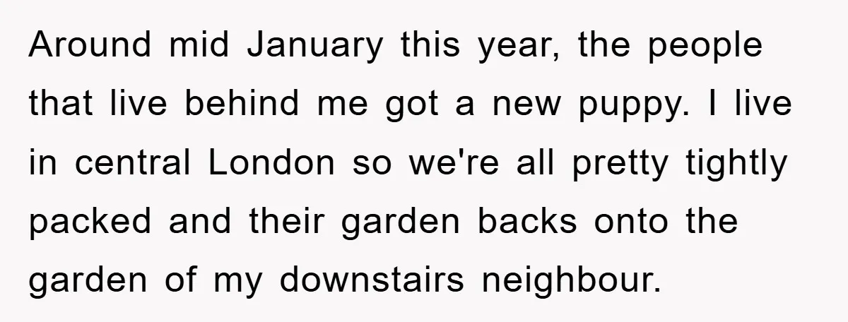 Around mid January this year, the people that live behind me got a new puppy. I live in central London so we're all pretty tightly packed and their garden backs...