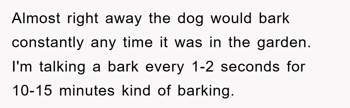 Almost right away the dog would bark constantly any time it was in the garden. I'm talking a bark every 1-2 seconds for 10-15 minutes kind of barking.