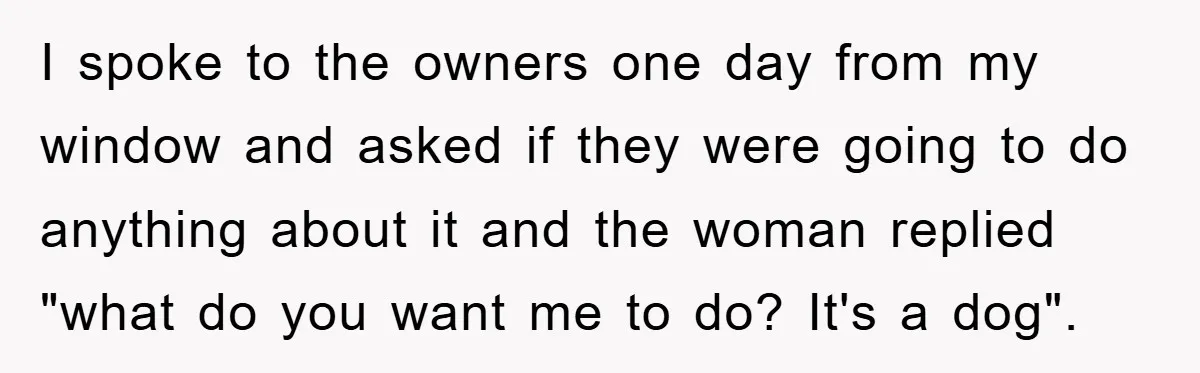 I spoke to the owners one day from my window and asked if they were going to do anything about it and the woman replied "what do you want me...