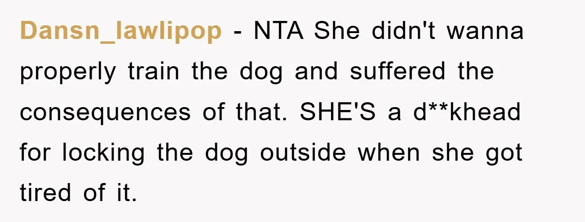 Dansn_lawlipop − NTA She didn't wanna properly train the dog and suffered the consequences of that. SHE'S a d**khead for locking the dog outside when she got tired of it.