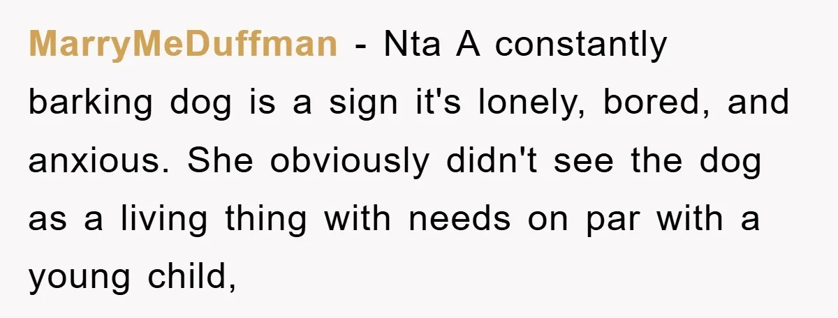 MarryMeDuffman − Nta A constantly barking dog is a sign it's lonely, bored, and anxious. She obviously didn't see the dog as a living thing with needs on par with...