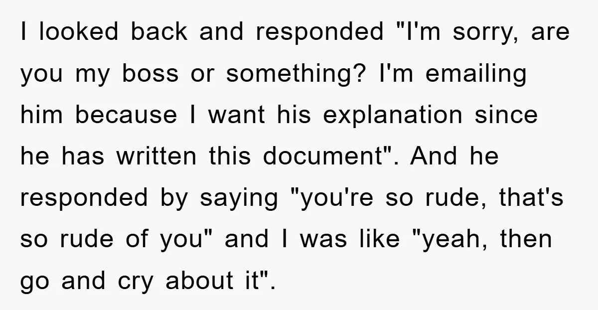 I looked back and responded "I'm sorry, are you my boss or something? I'm emailing him because I want his explanation since he has written this document". And he responded...
