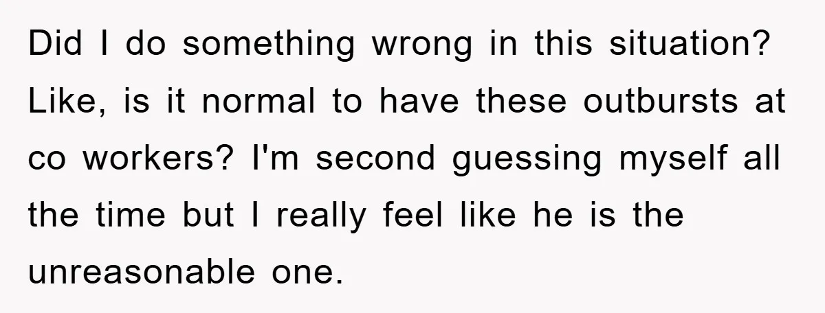 Did I do something wrong in this situation? Like, is it normal to have these outbursts at co workers? I'm second guessing myself all the time but I really feel...