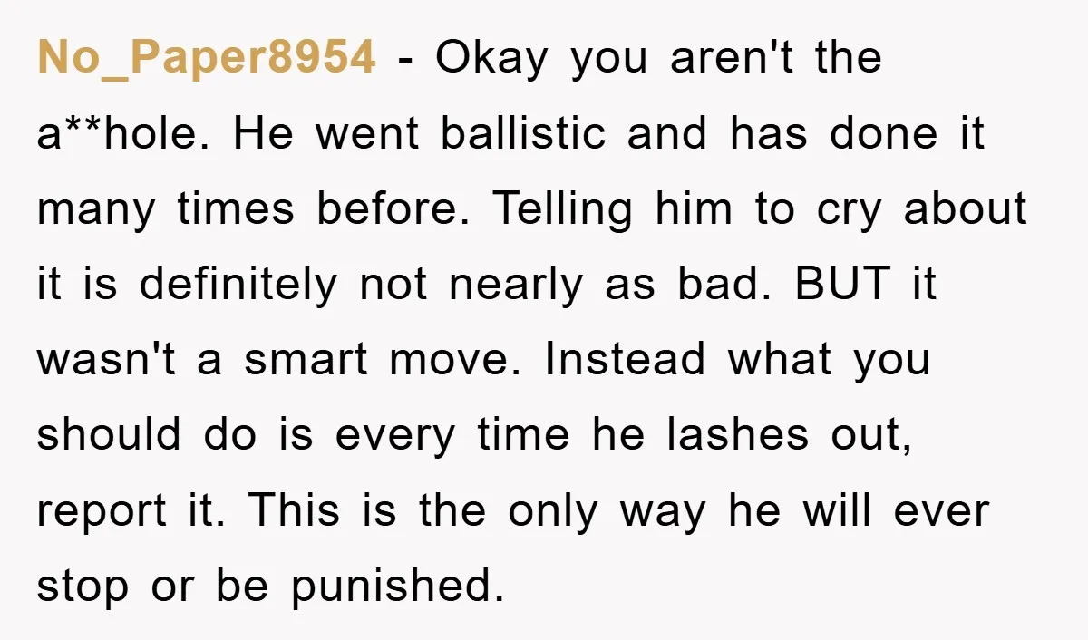 No_Paper8954 − Okay you aren't the a**hole. He went ballistic and has done it many times before. Telling him to cry about it is definitely not nearly as bad. BUT...