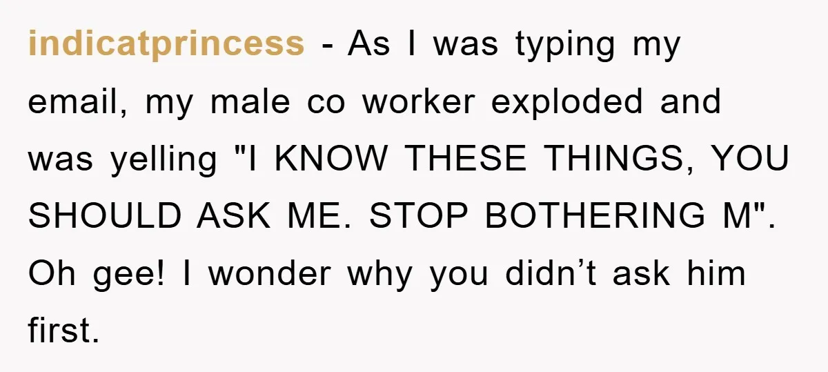 indicatprincess − As I was typing my email, my male co worker exploded and was yelling "I KNOW THESE THINGS, YOU SHOULD ASK ME. STOP BOTHERING M". Oh gee! I...