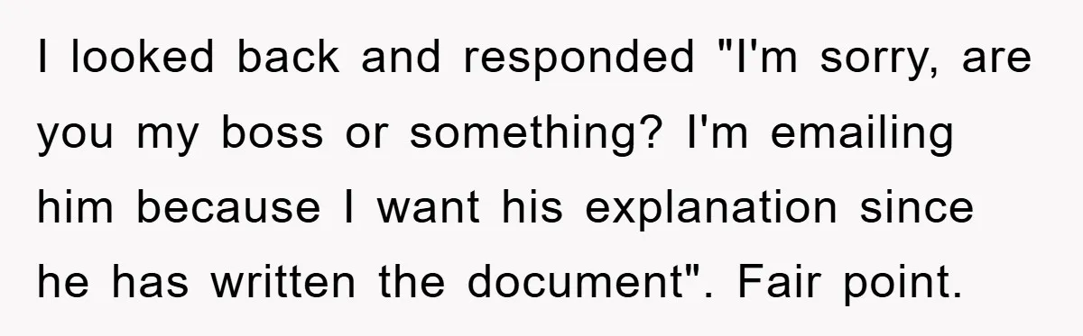 I looked back and responded "I'm sorry, are you my boss or something? I'm emailing him because I want his explanation since he has written the document". Fair point.