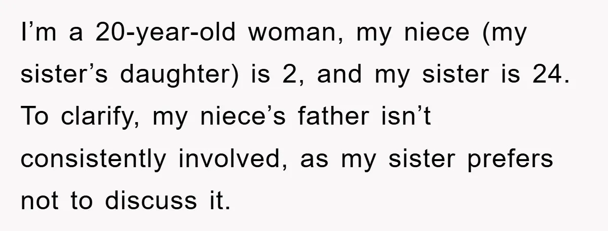 I’m a 20-year-old woman, my niece (my sister’s daughter) is 2, and my sister is 24. To clarify, my niece’s father isn’t consistently involved, as my sister prefers not to...