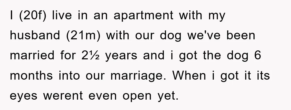 I (20f) live in an apartment with my husband (21m) with our dog we've been married for 2½ years and i got the dog 6 months into our marriage. When...