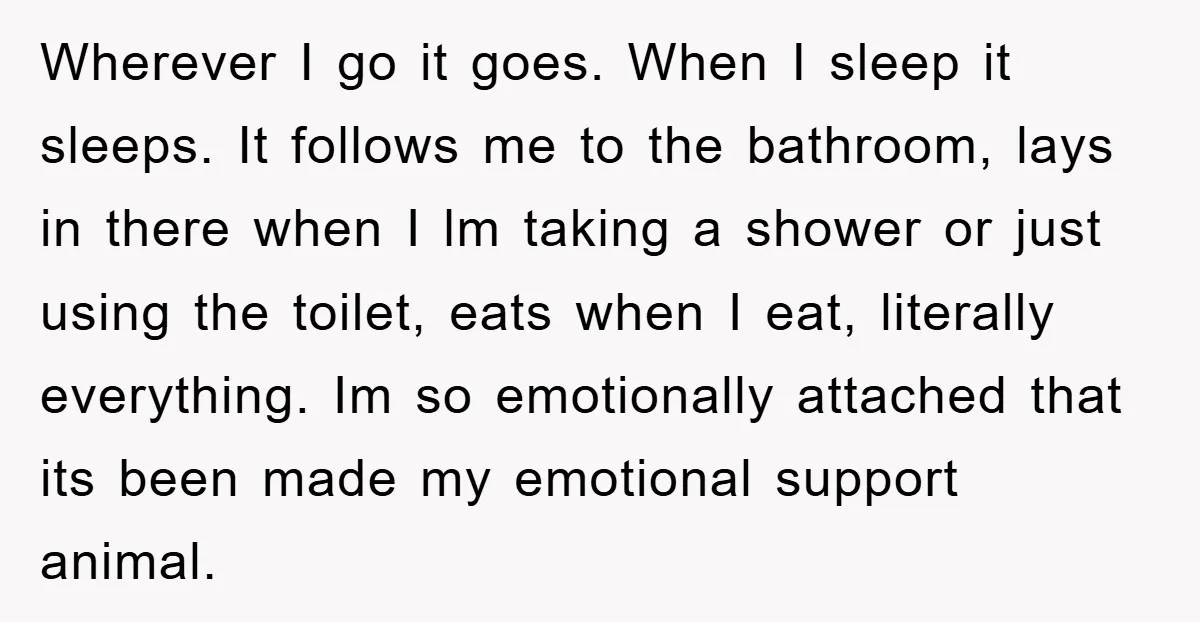 Wherever I go it goes. When I sleep it sleeps. It follows me to the bathroom, lays in there when I lm taking a shower or just using the toilet,...