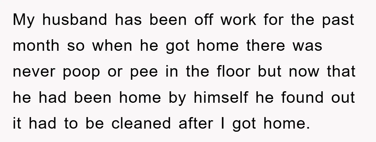 My husband has been off work for the past month so when he got home there was never poop or pee in the floor but now that he had been...