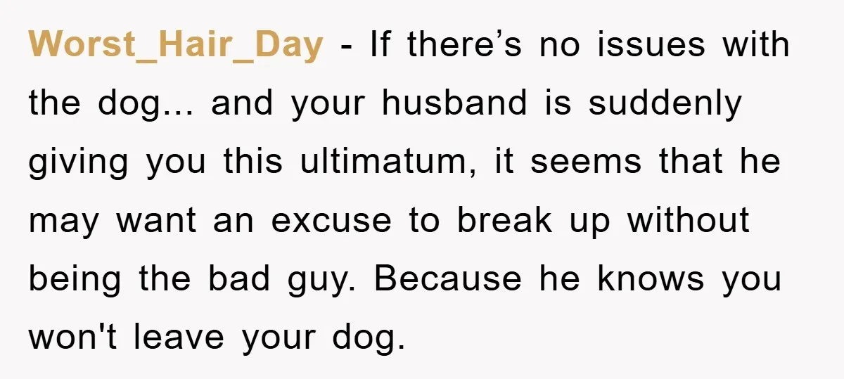 Worst_Hair_Day - If there’s no issues with the dog... and your husband is suddenly giving you this ultimatum, it seems that he may want an excuse to break up without...