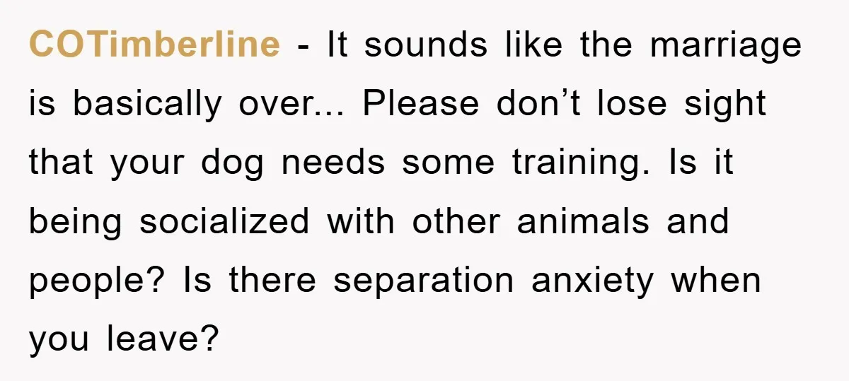 COTimberline - It sounds like the marriage is basically over... Please don’t lose sight that your dog needs some training. Is it being socialized with other animals and people? Is...