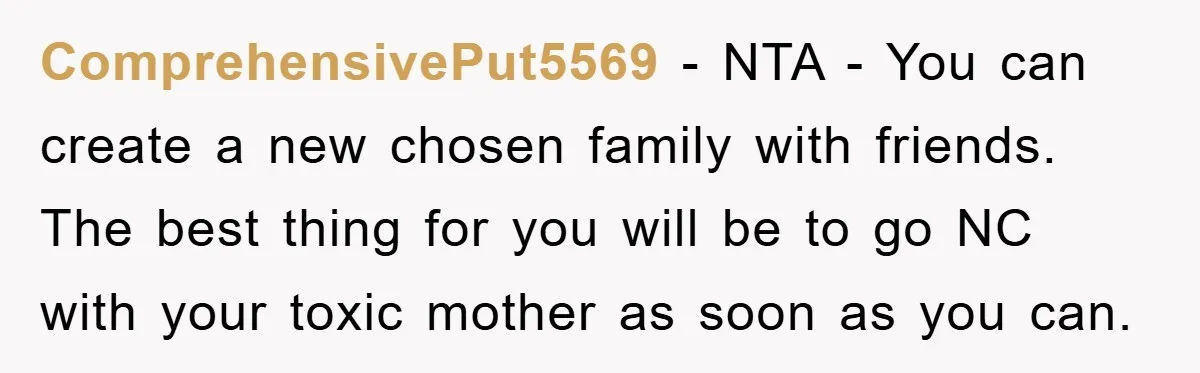 ComprehensivePut5569 - NTA - You can create a new chosen family with friends. The best thing for you will be to go NC with your toxic mother as soon as...
