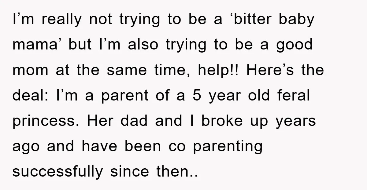 I’m really not trying to be a ‘bitter baby mama’ but I’m also trying to be a good mom at the same time, help!! Here’s the deal: I’m a parent...