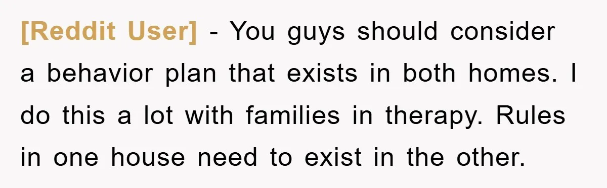 [Reddit User] − You guys should consider a behavior plan that exists in both homes. I do this a lot with families in therapy. Rules in one house need to...