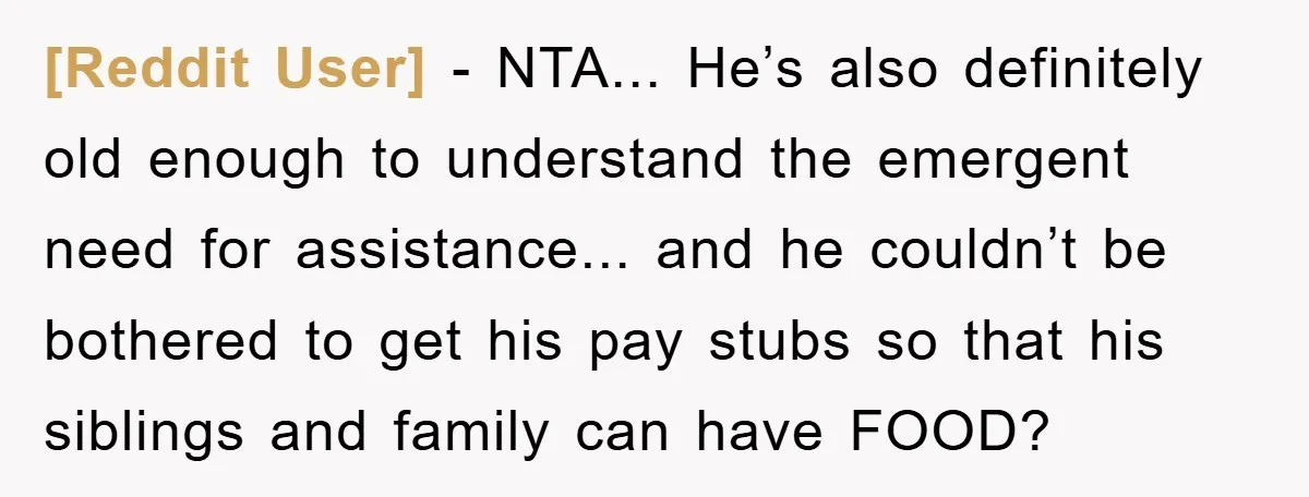 [Reddit User] - NTA... He’s also definitely old enough to understand the emergent need for assistance... and he couldn’t be bothered to get his pay stubs so that his siblings...
