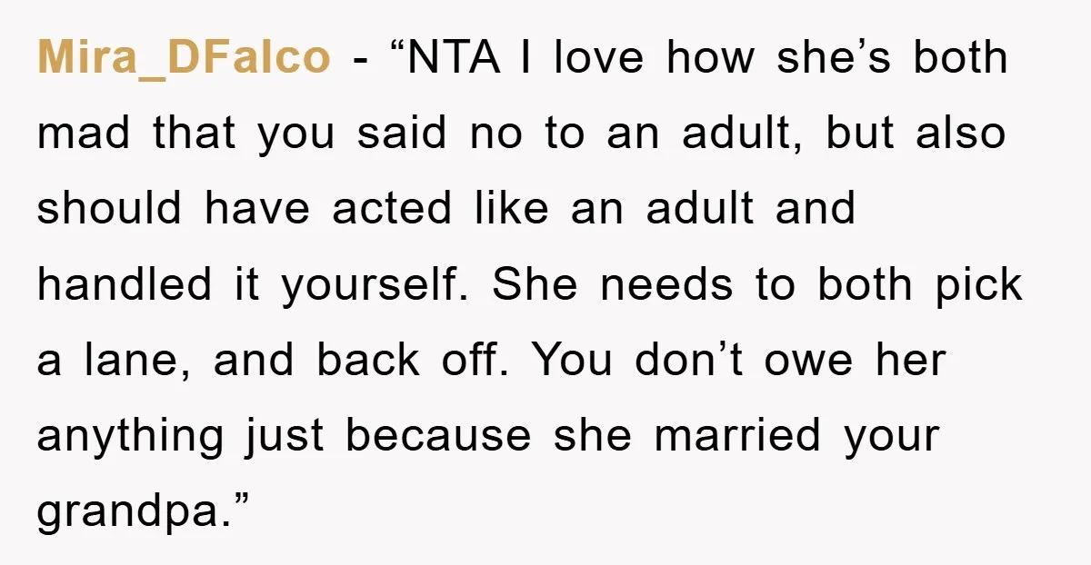 Mira_DFalco - “NTA I love how she’s both mad that you said no to an adult, but also should have acted like an adult and handled it yourself. She needs...