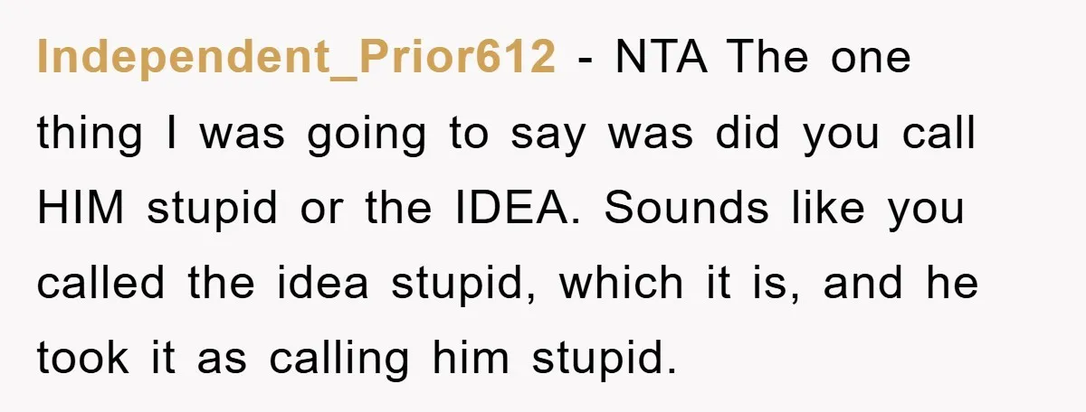 Independent_Prior612 − NTA The one thing I was going to say was did you call HIM stupid or the IDEA. Sounds like you called the idea stupid, which it is,...