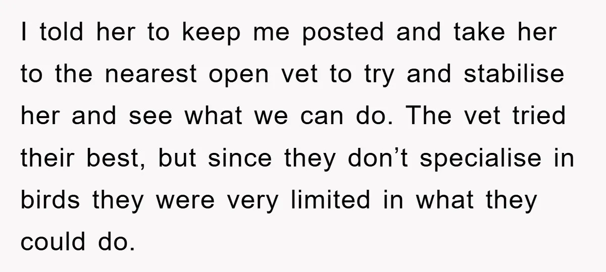 I told her to keep me posted and take her to the nearest open vet to try and stabilise her and see what we can do. The vet tried their...