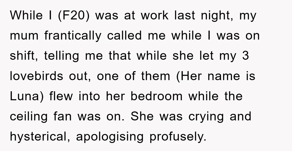 While I (F20) was at work last night, my mum frantically called me while I was on shift, telling me that while she let my 3 lovebirds out, one of...