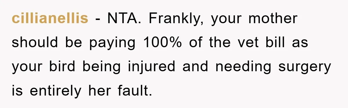 cillianellis − NTA. Frankly, your mother should be paying 100% of the vet bill as your bird being injured and needing surgery is entirely her fault.