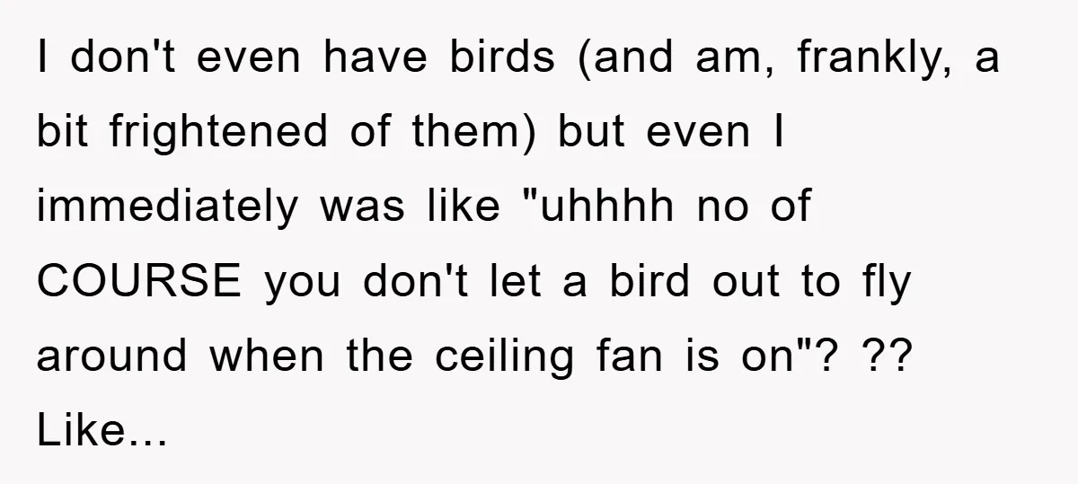 I don't even have birds (and am, frankly, a bit frightened of them) but even I immediately was like "uhhhh no of COURSE you don't let a bird out to...