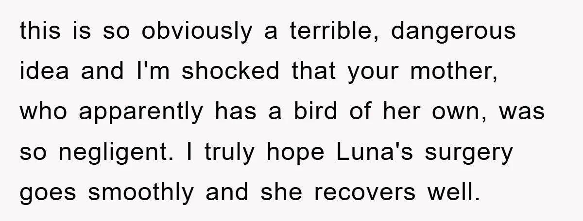this is so obviously a terrible, dangerous idea and I'm shocked that your mother, who apparently has a bird of her own, was so negligent. I truly hope Luna's surgery...